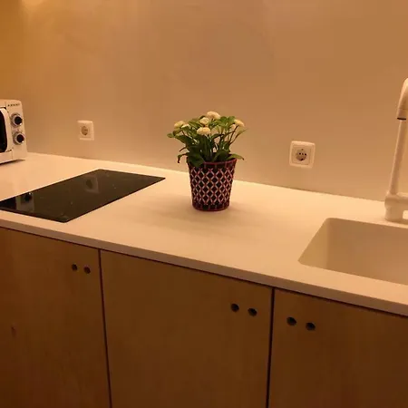 House In Historical Center T1 Apartment *